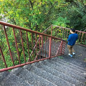 A person walking down public steps through a wooded hillside.